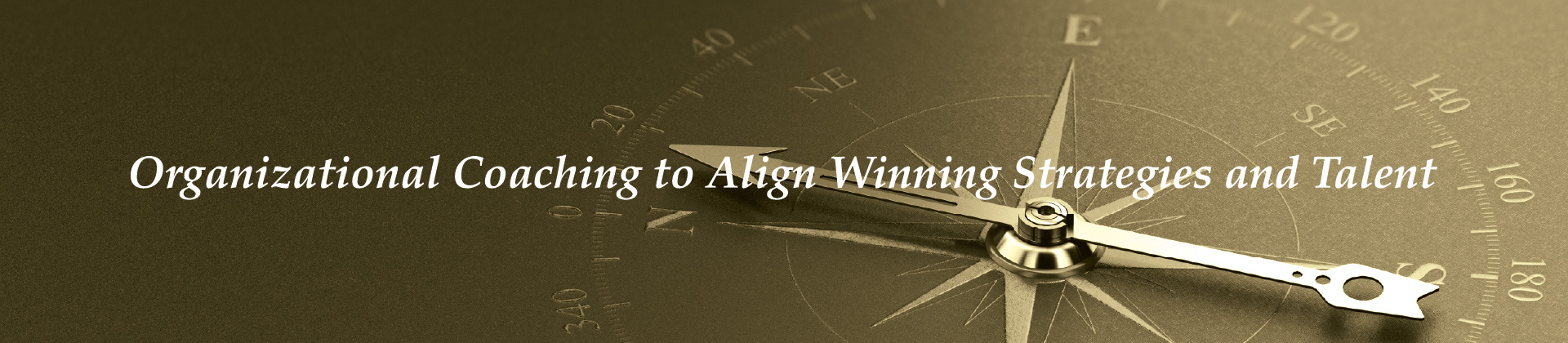 Organizational Coaching to Align Winning Strategies and Talent